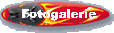 zur Fotogalerie